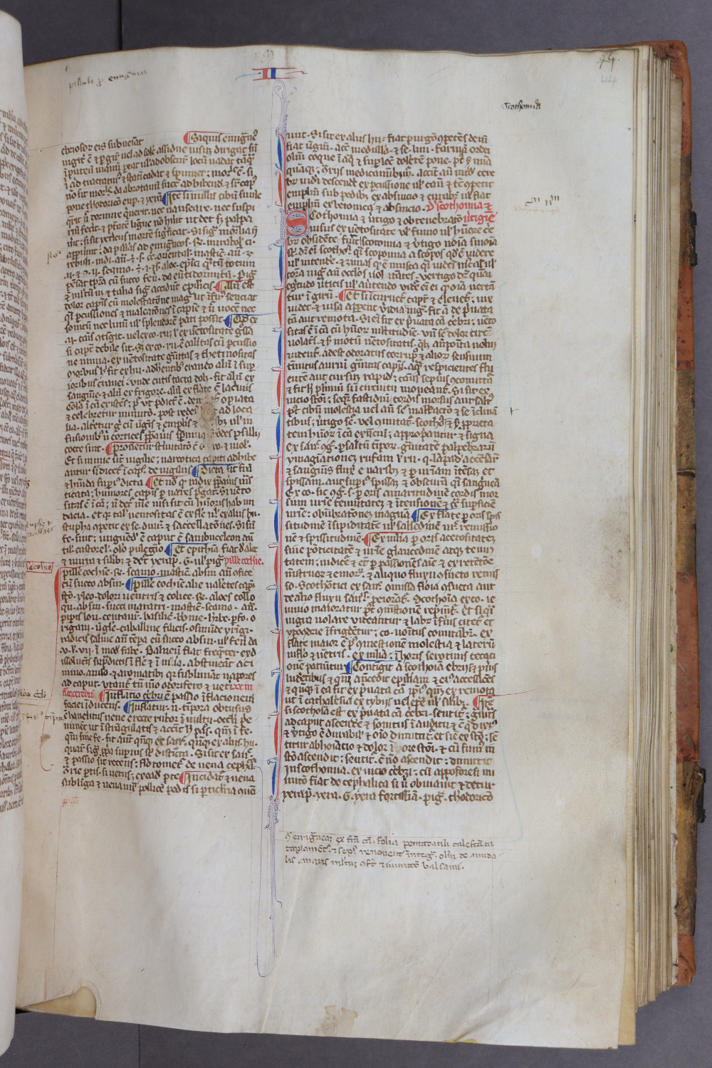 Folio 44 recto